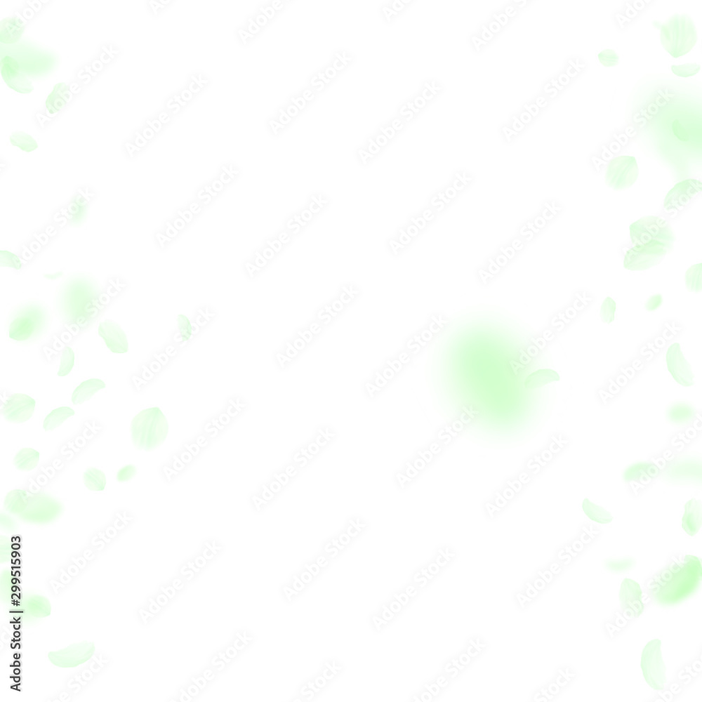 Green flower petals falling down. Favorable romant Green flower petals falling down. Favorable romant