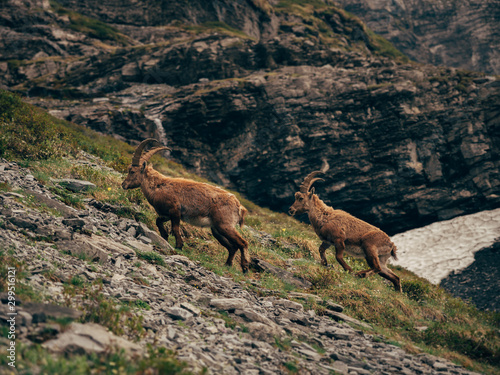 Switzerland, Alps