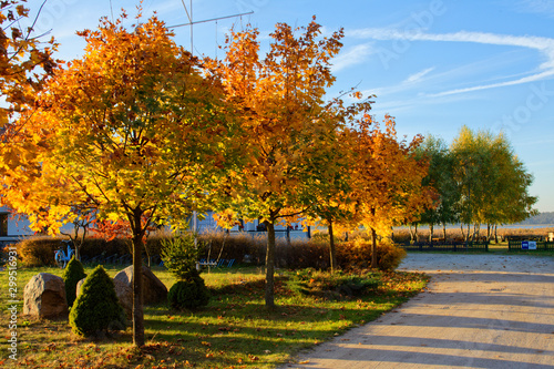 Fototapeta Naklejka Na Ścianę i Meble -  Polska złota jesień