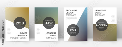 Flyer layout. Modern graceful template for Brochur