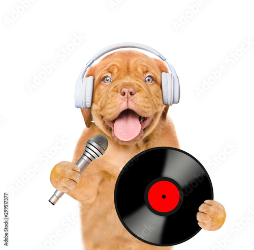 Funny puppy with earphones holds vinyl record and microphone. Isolated on white background