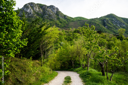 Beautiful panorama of an Italian landscape