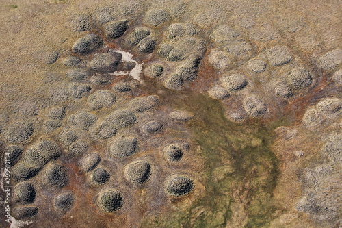 Polygonal tundra landscape in summer, Taymyr peninsula, aerial view