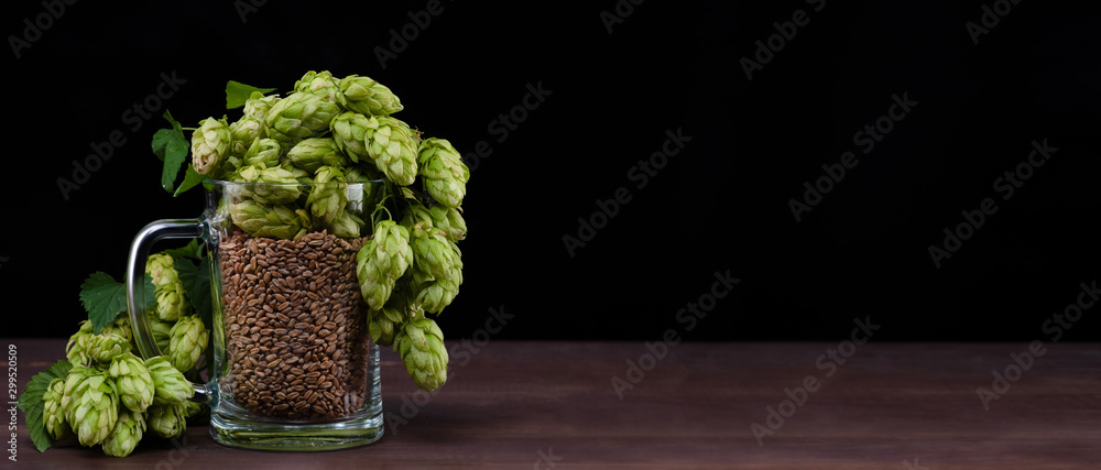 Home brewing concept. Mug with malt and fresh green of hops on dark wooden table. Black background. Empty space for text - obrazy, fototapety, plakaty 