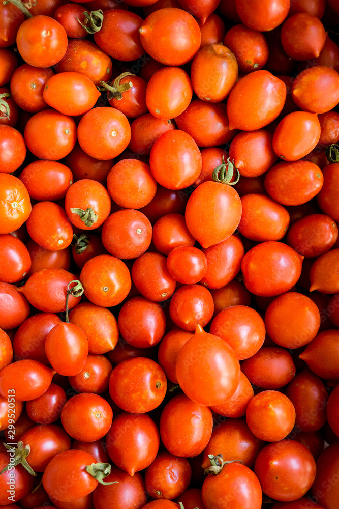 Tomat : Tomatoes are an excellent source of vitamin C and other  antioxidants Stock Photo | Adobe Stock