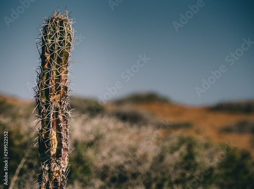 La Guajira, Colombia