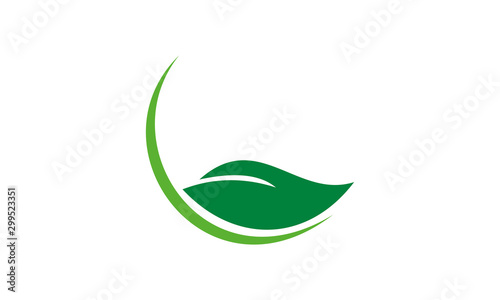 green leaf with drops of water isolated on white
