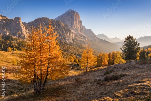 Autumn view of Lake Federa in Dolomites at sunset. Fantastic autumn scene with blue sky, majestic rocky mount and colorful trees glowing sunlight in Dolomites. Dolomite Alps with yellow larch trees