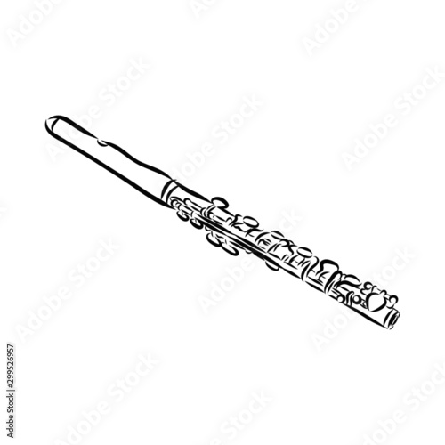 flute isolated on white background