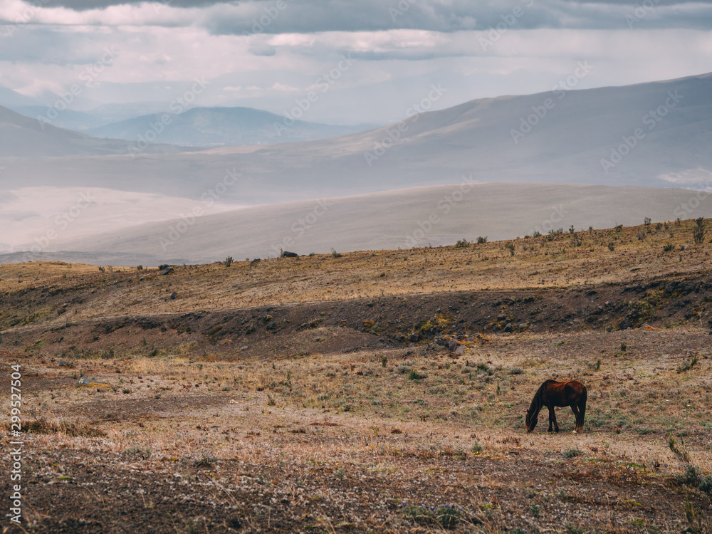 Fototapeta premium Ecuador