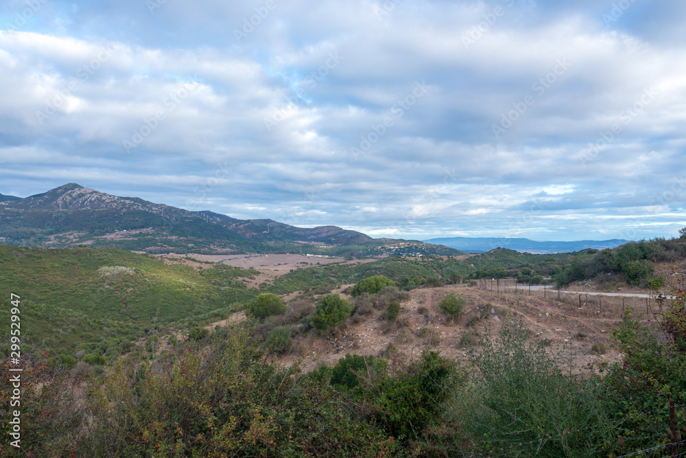 Natural park of the reserve of Algeciras in Spain