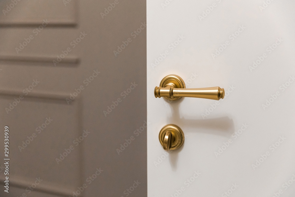 Bronze knob handle of the hidden door in the modern classic interior Bronze knob handle of the hidden door in the modern classic interior