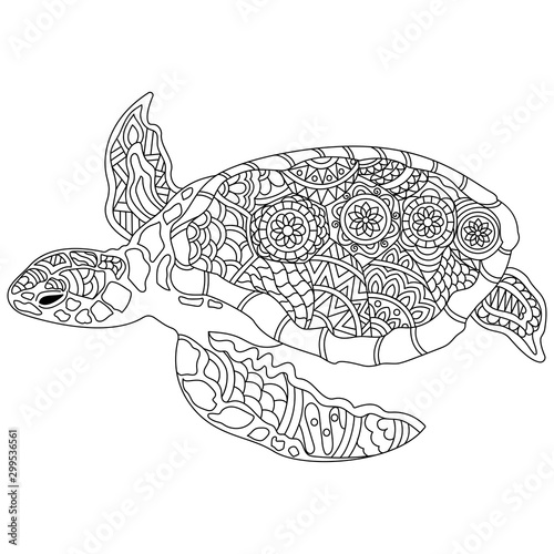 Hand drawn doodle turtle or tortoise with floral design.