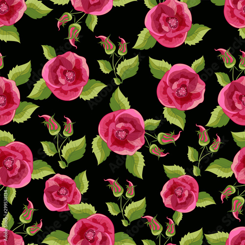 Rose flowers decorated background.