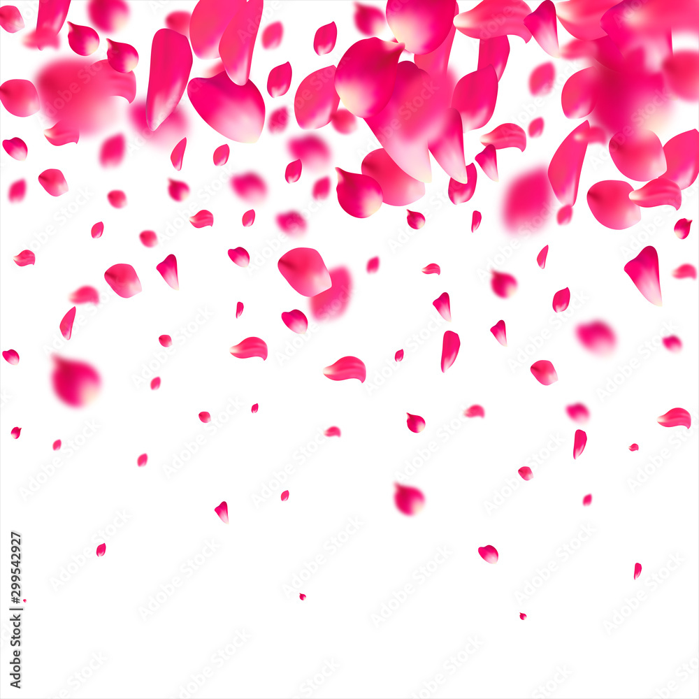 Pink falling petals rose. Nice flower pastel texture background.