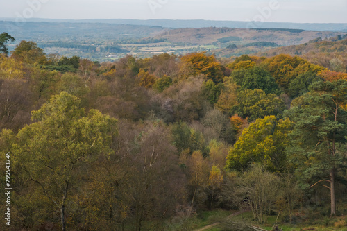 Autum walk on Black, Southdown National Park photo