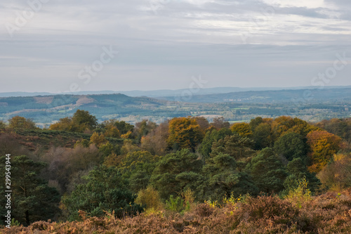 Autum walk on Black, Southdown National Park photo