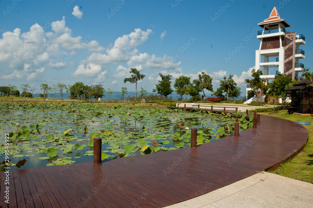 Tower beside a lotus pond