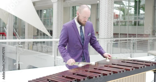 Handsome bearded man, in purple gentleman suit playing the marimba, a big xylophone originating in guatemala photo