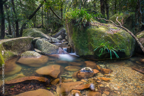 Fototapeta Naklejka Na Ścianę i Meble -  Daintree Rainforest Rocky Stream