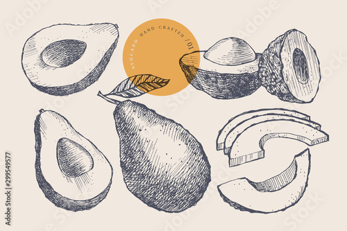 Hand drawn avocado. Natural fruit, whole and cut. Organic food concept. Can be used as element in the design of cosmetics, menus and packaging. Vintage botanical illustration on isolated background.