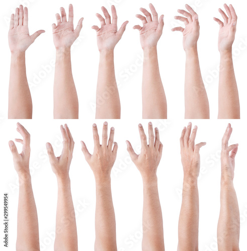 GROUP of Male asian hand gestures isolated over the white background. Soft Grab Action.
