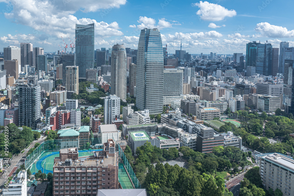 Naklejka premium Tokyo city skyline aerial view from Tokyo Tower, Japan