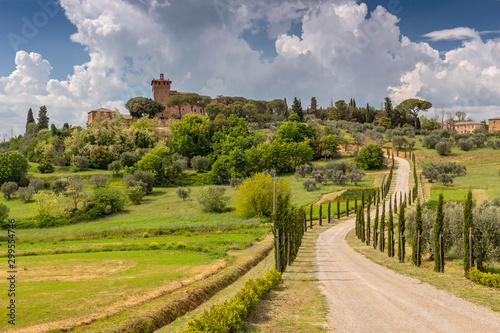 Landscape with a cypresses lined path to Palazzo Massaini, an architectural complex located on a hillside near Pienza town in Tuscany, Italy.