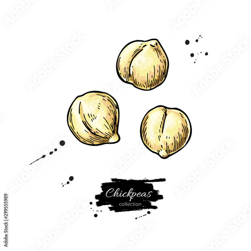 Chickpeas hand drawn vector illustration. Isolated Vegetable engraved style object.