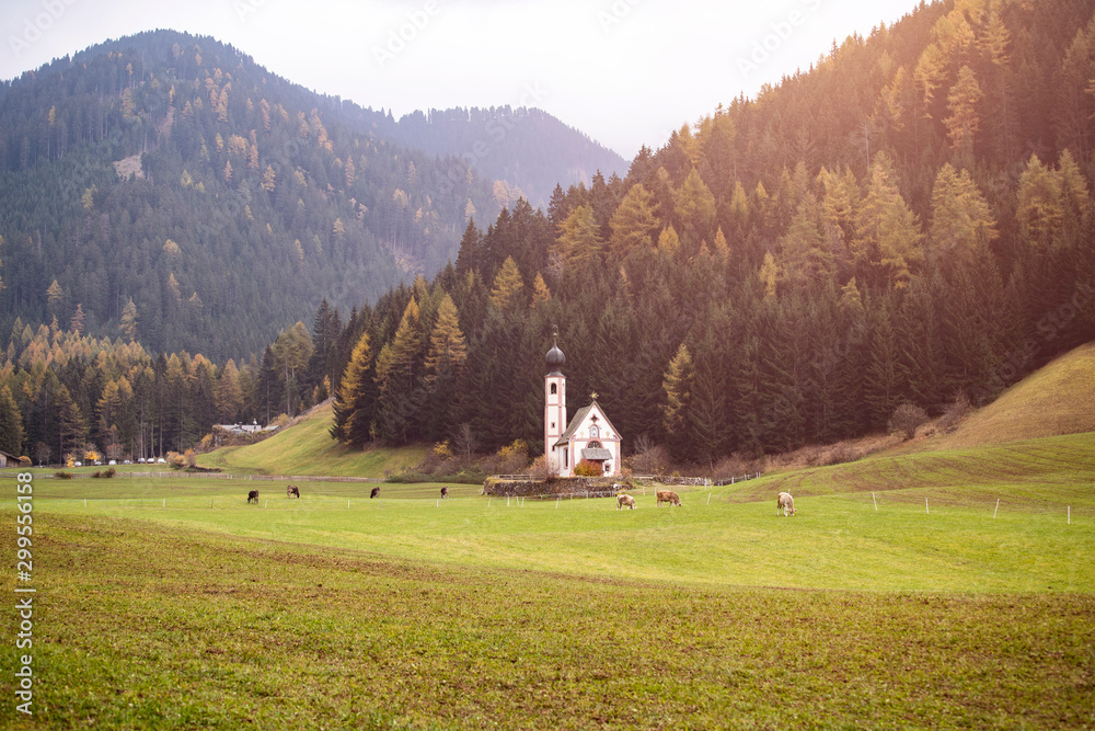 Dolomite Alps. St Johann Church in Santa Maddalena, Val Di Funes, Dolomites, Italy.