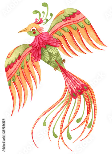 Beautiful watercolor paradise bird. Fairytale hand painted illustration. Isolated on white.