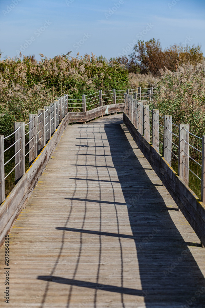 Voyage en petite Camargue