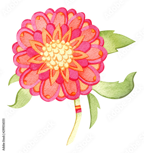 Beautiful watercolor paradise flower. Fairytale folk hand painted illustration. Isolated on white.