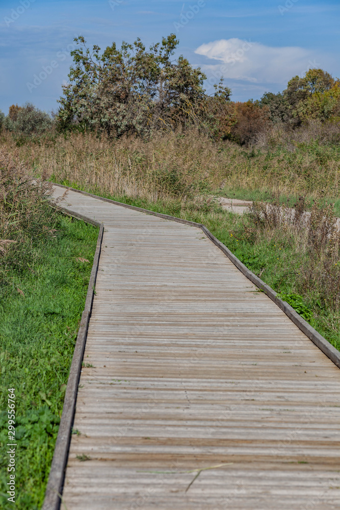 Fototapeta premium Voyage en petite Camargue
