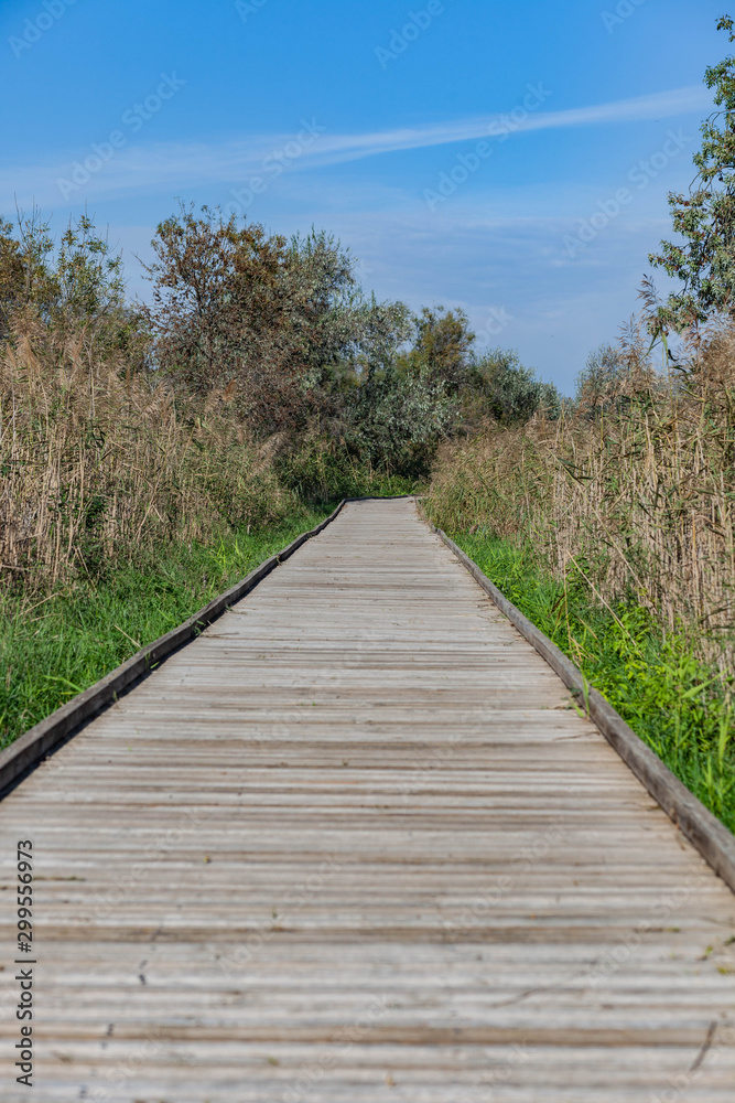 Fototapeta premium Voyage en petite Camargue