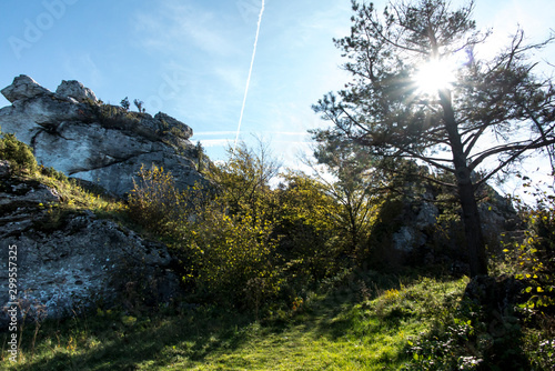 Limestone rocks in nature reserve mountain Zborow in Jura Krakowsko-Czestochowska photo