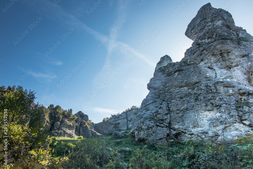 Limestone rocks in nature reserve mountain Zborow in Jura Krakowsko-Czestochowska