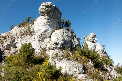 Limestone rocks in nature reserve mountain Zborow in Jura Krakowsko-Czestochowska