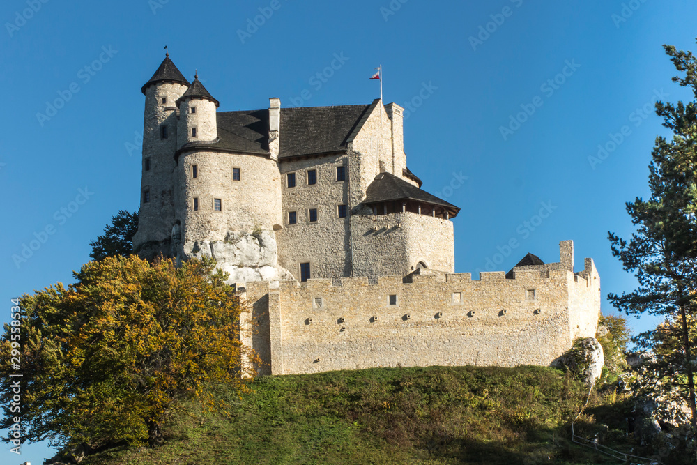 View on medieval castle in Bobolice