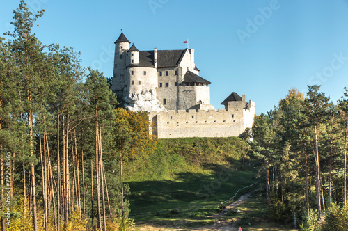 View on medieval castle in Bobolice