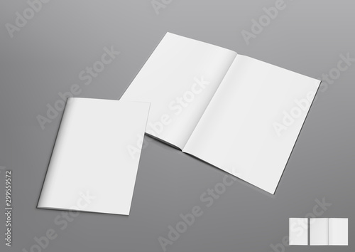 3D Blank Open And Close Magazine On Gray