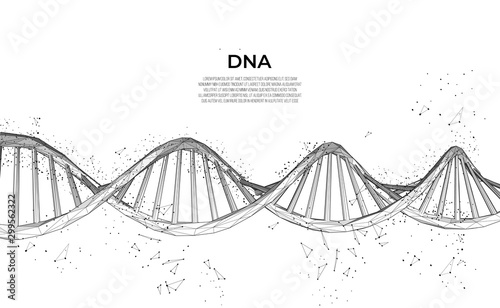 DNA. Abstract 3d polygonal wireframe DNA molecule. Science, genetic biotechnology, chemistry biology, gene cell concept vector illustration. innovation technology concept