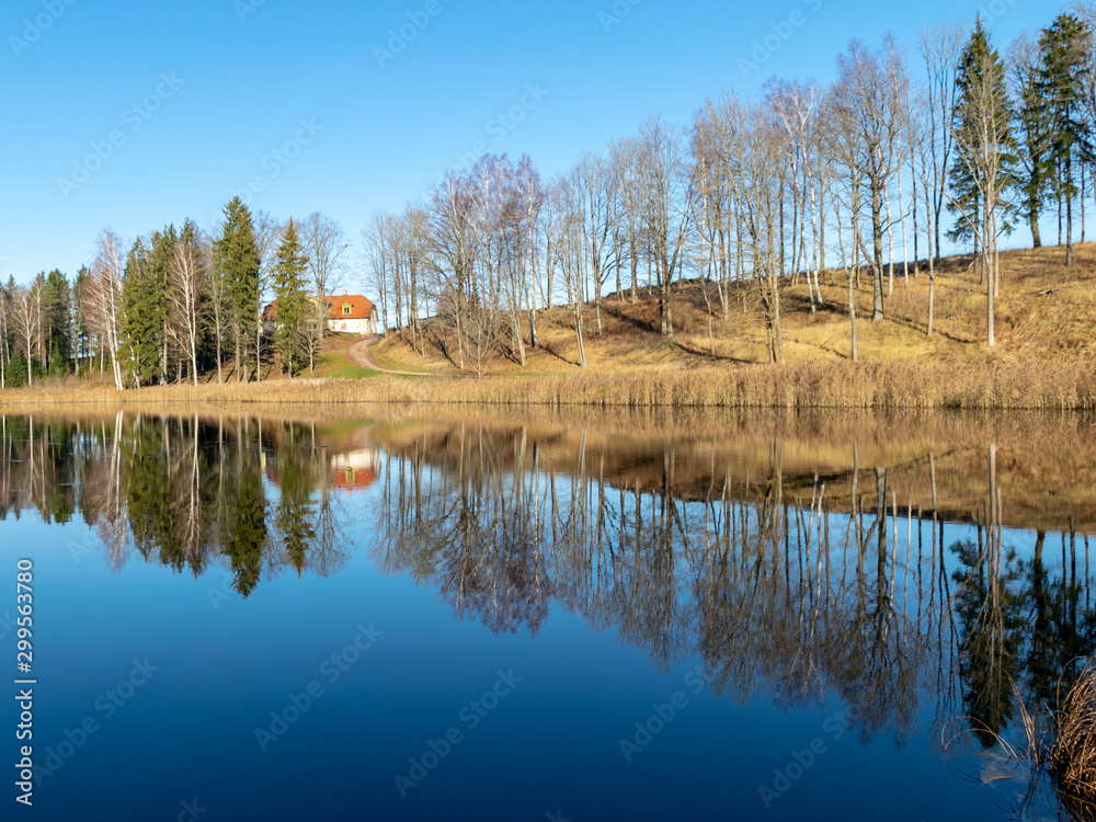 peaceful landscape with trees reflections in the still lake waters on  sunny autumn morning, latvia
