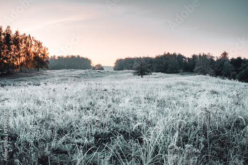 Beautiful idyllic and calm morning nature with mist haze and sunrise tones on a cold winter morning photo