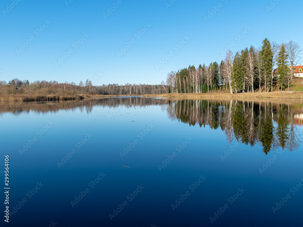 peaceful landscape with trees reflections in the still lake waters on  sunny autumn morning, latvia