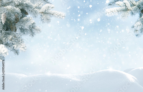 Snowfall in winter forest.Beautiful landscape with snow covered fir trees and snowdrifts.Merry Christmas and happy New Year greeting background with copy-space.Winter fairytale. © Lilya