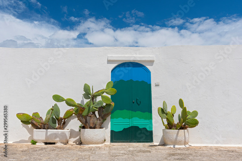 Cactus in front of white wall and mediterranean door in Ostuni, Italy.