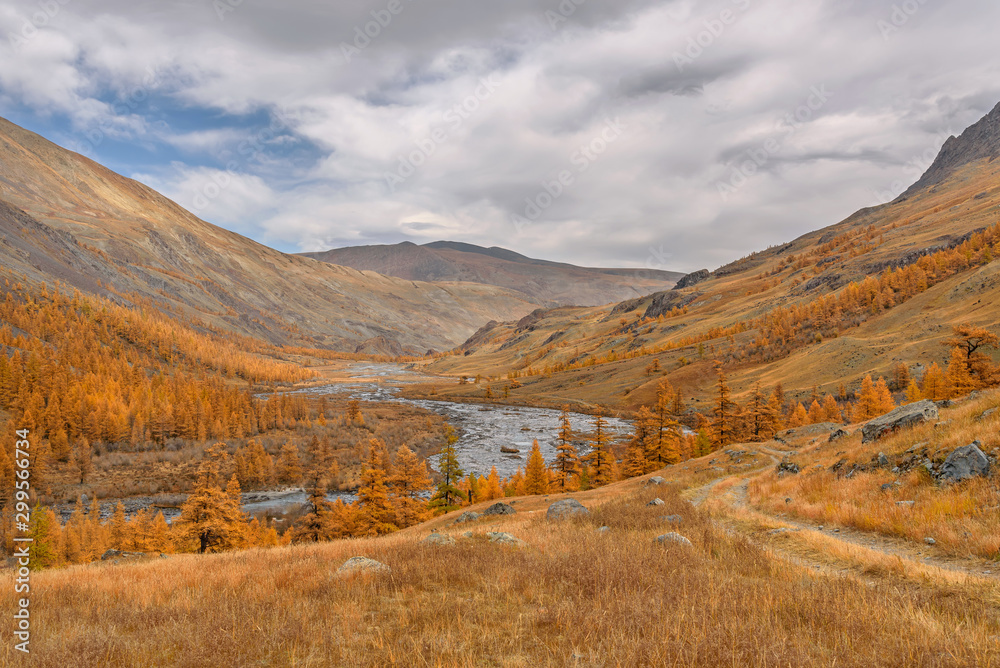 Obraz premium mountains road river autumn golden larch