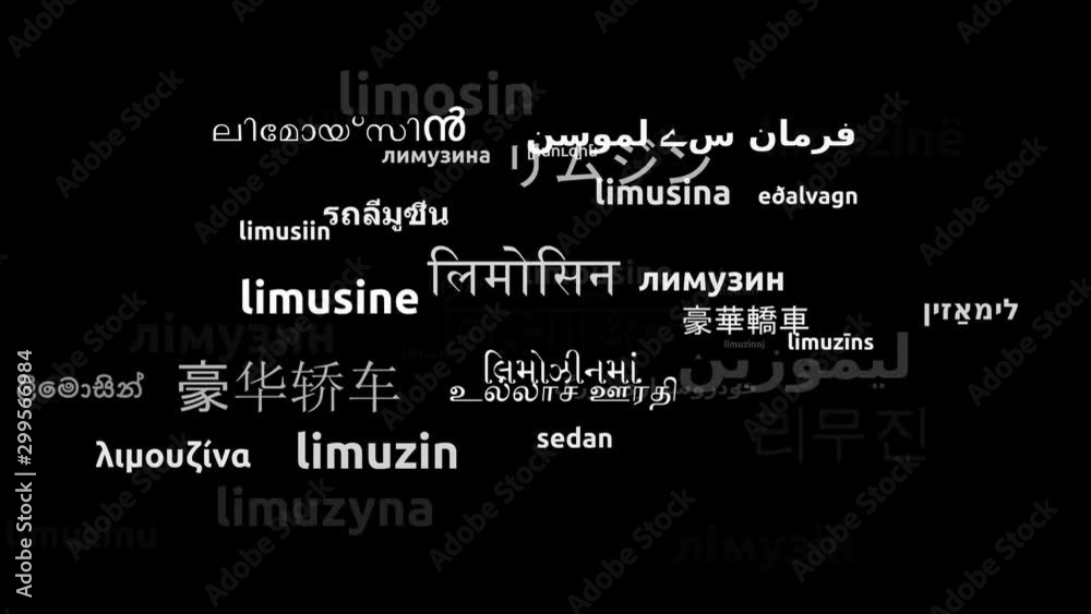 Limousine Translated in 45 Worldwide Languages Endless Looping 3d Zooming Wordcloud Mask