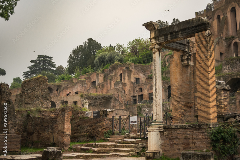 Ancient ruins in the imperial forums of Rome
